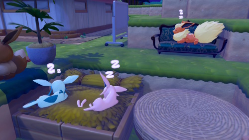 ぽこあポケモンのスクリーンショット
睡眠を取るブースター、エーフィー、グレイシア